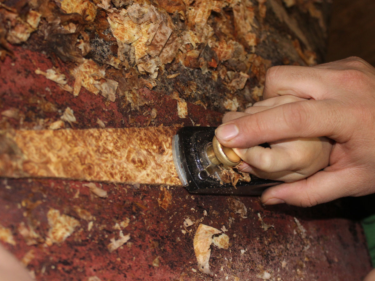 Service/Feature Image